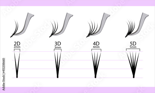 Eyelash extension infographics. Step by step guide. Types of Lash Curls, vector illustration