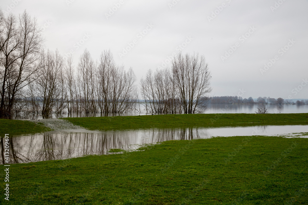 High water in the floodplains of a river in the Netherlands