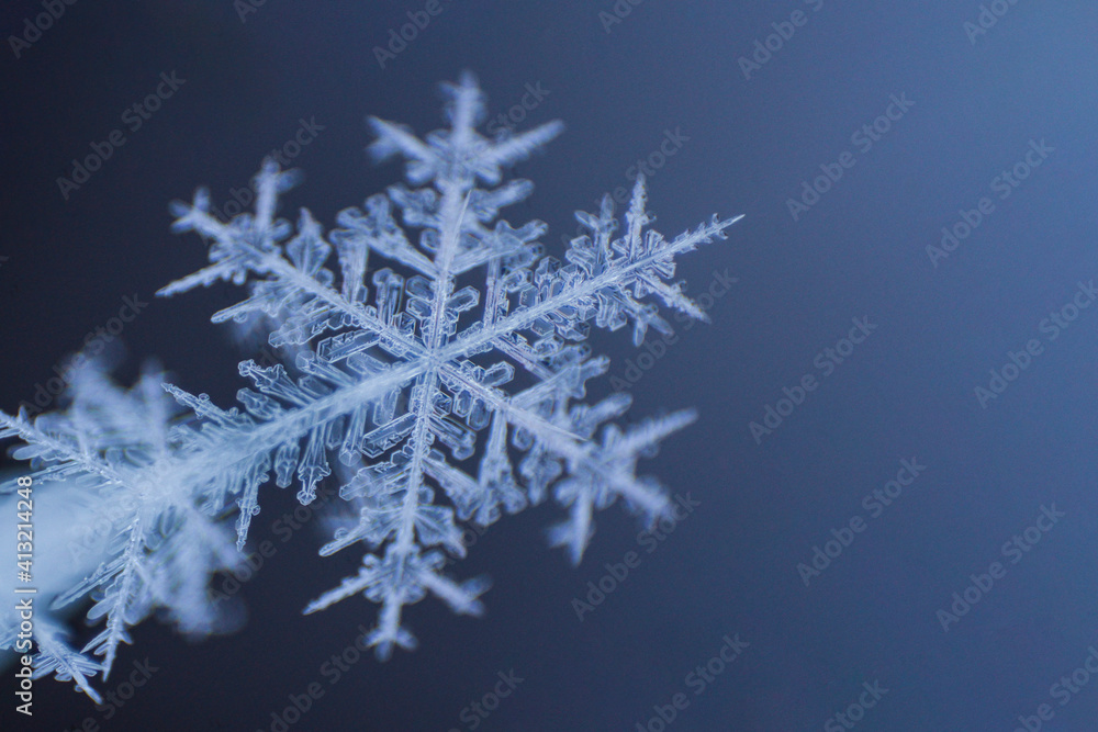 Snowflakes close-up. Macro photo. The concept of winter, cold, beauty of nature.