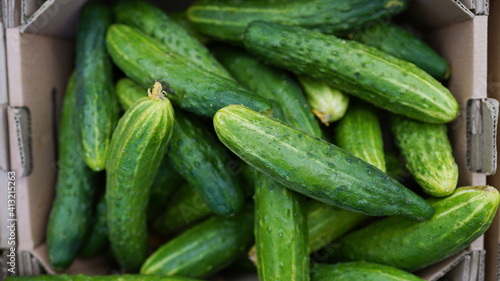 green cucumber. Cucumbers For Sale At Market