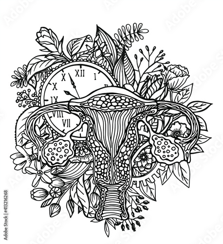Anatomically correct drawn female genitals. Uterus, vagina, eggs and endometrium. Illustration for studying premenstrual syndrome, contraception, ovulation, menopause and pregnancy