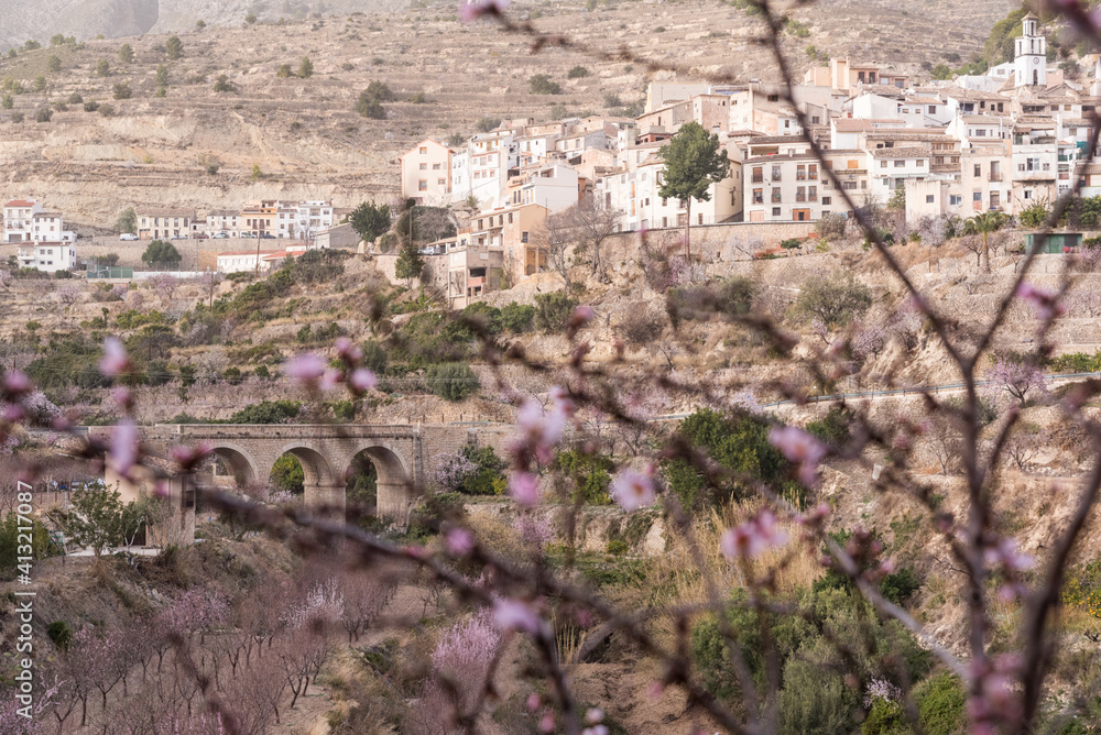 Small mountain village in the background in focus and an out-of-focus almond blossom in the foreground.
