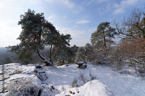 Camp de Chailly panorama in Fontainebleau forest. Winter season