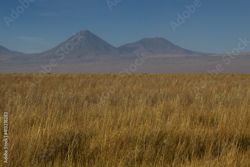 Landscape with Licancabur volcano © Roberta