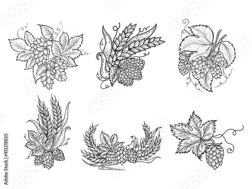 Beer hops set sketch engraving vector illustration. T-shirt apparel print design. Scratch board imitation. Black and white hand drawn image.