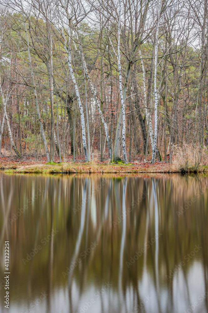 Bare trees on the shore of a pond reflected in the water surface in the Brunssummerheide nature reserve, cloudy winter day in South Limburg, the Netherlands. Long exposure photography Bare trees on the shore of a pond reflected in the water surface in the Brunssummerheide nature reserve, cloudy winter day in South Limburg, the Netherlands. Long exposure photography