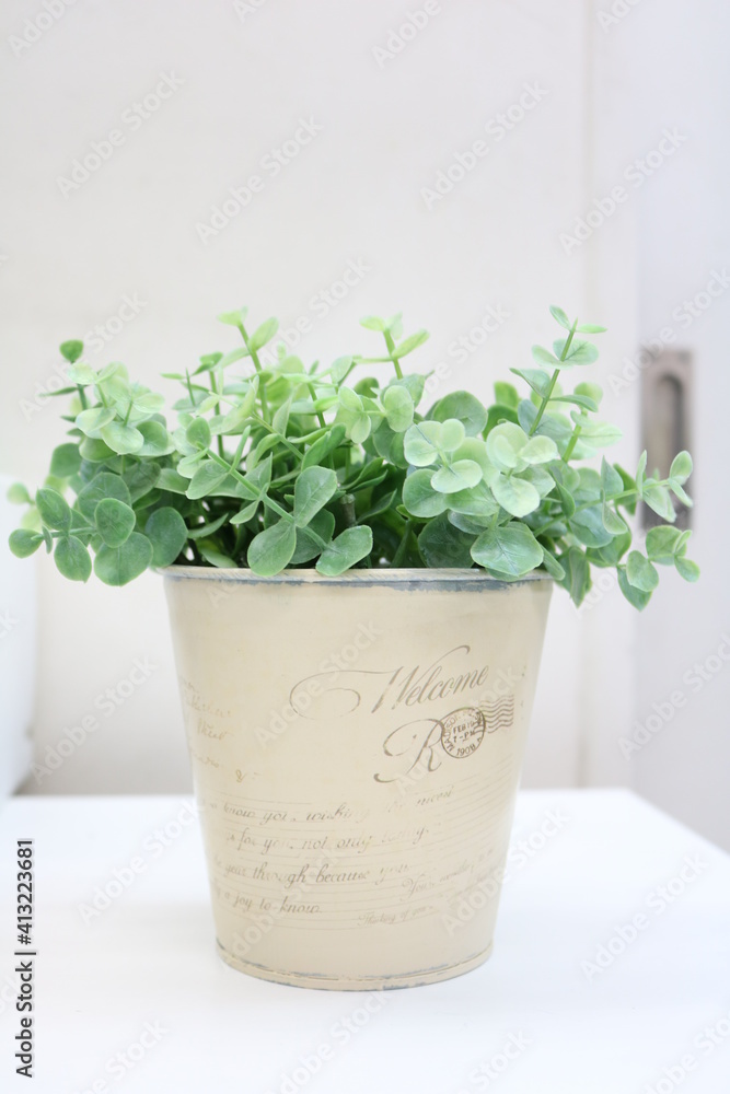 Fototapeta premium 植物