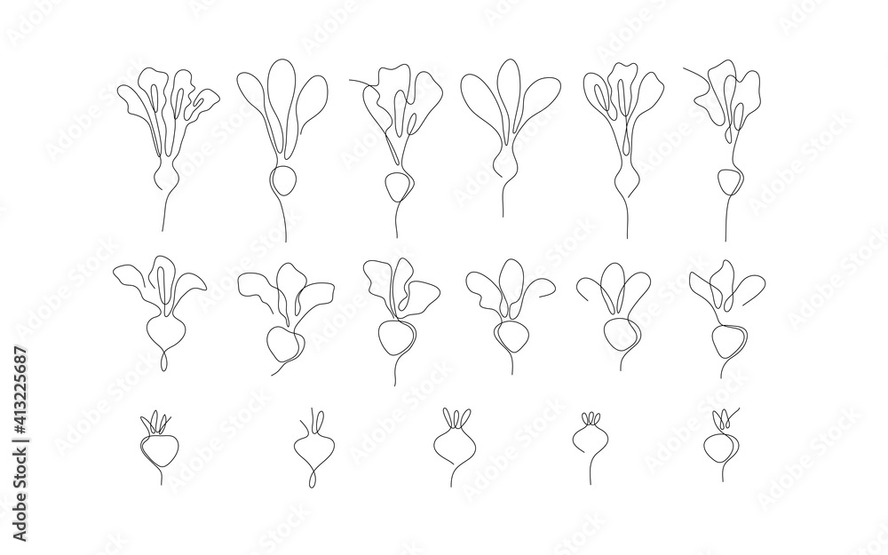 One line art style beet. Abstract creative food in minimalism design. Hand drawn vector illustration. 