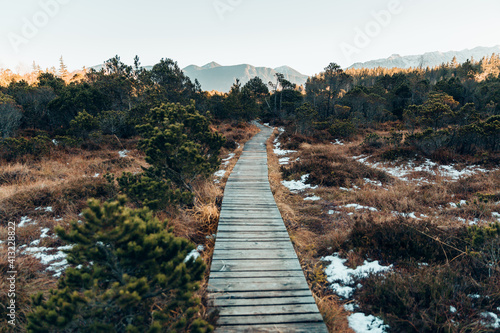 Holzsteg im Murnauer Moos mit Blick auf die Berge im Herbst/ Winter photo