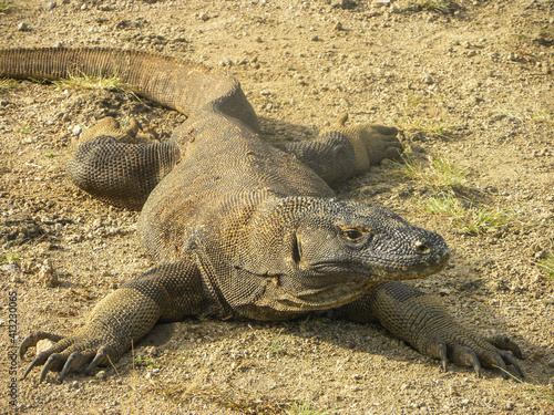 Travel in Komodo Island