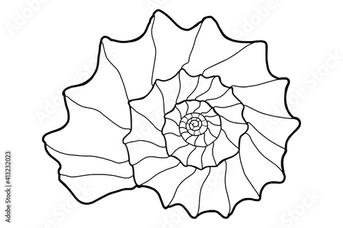 Seashell. Clam. Nautilus. Coloring page. Outline. 