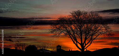 sunset with tree