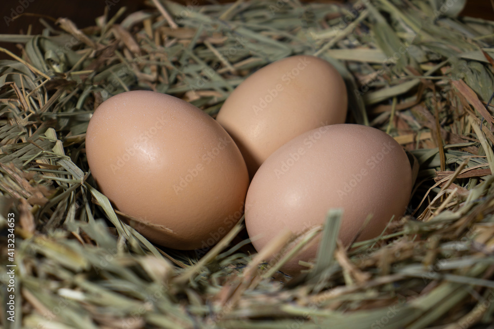 Easter basket with eggs. eggs in a straw nest Easter basket with eggs. eggs in a straw nest