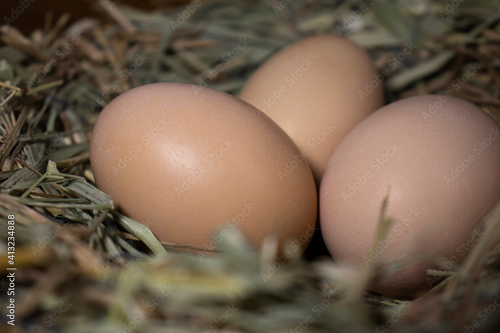 Easter basket with eggs. eggs in a straw nest Easter basket with eggs. eggs in a straw nest