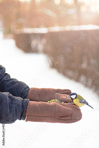 a titmouse flew in for food, a wild bird sits on a man's hand in a winter park, a treat for birds, taking care of wintering birds