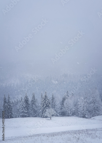 Winter snowfall landscape in Carpathian mountains, vertical shot. Wonderful idyllic snowing scene with a bench under a lone tree in front of a coniferous forest under snow. Foggy white woodland view