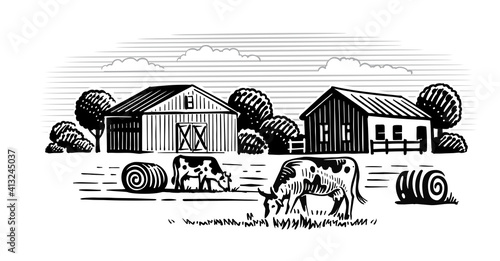 two cows on background of farm