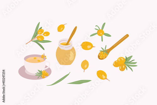 Sea Buckthorn Vector Illustration set. Collection of sea buckthorn tea, berries,  leaves, jam, branch, spoon