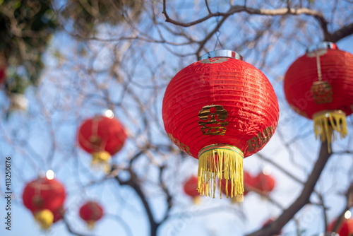 Chinese lanterns on the tree 03