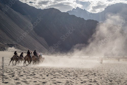The Deset and Valley of Nubra India