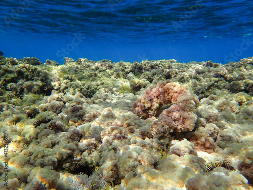 underwater blue ocean wide background with Rocky sea bottom, Real natural underwater view of the Mediterranean Sea