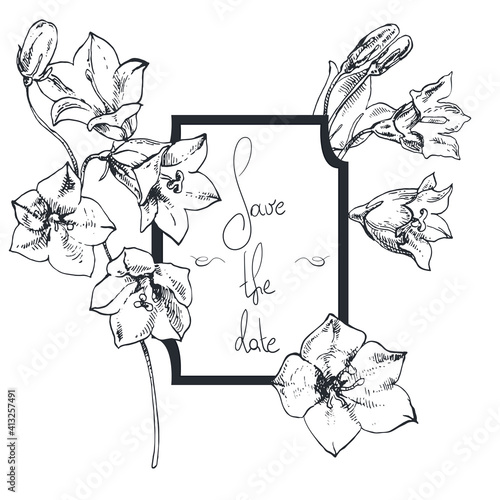 Hand drawn vector wedding Invitation, save the date, thank you, rsvp card. Design template. Bellflower, bluebell, campanula