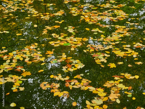 autumn park
