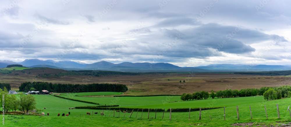 Paranomic image of beautiful scenery in Aviemore , Scotland
