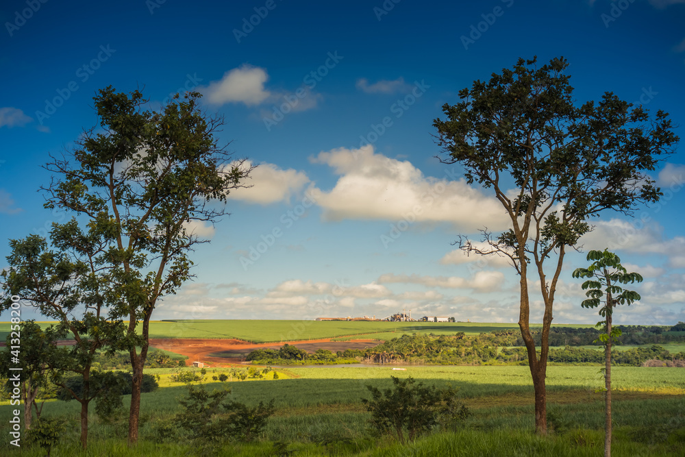 Rural landscape with green sugar cane plantation, red earth and blue sky in the interior of Brazil