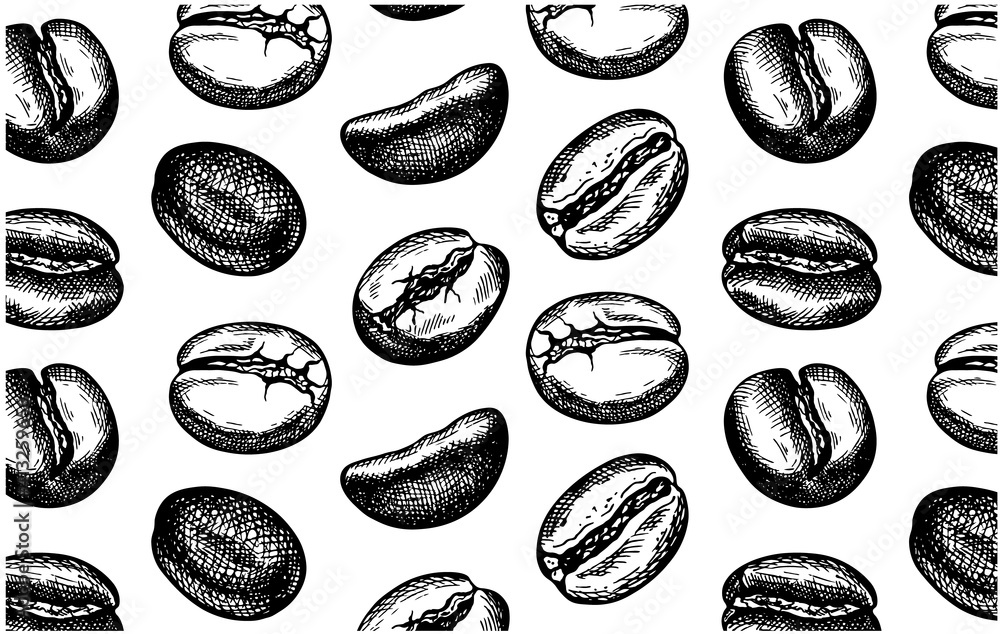 Sketch pattern of black coffee beans isolated on white background. Wallpaper, textile. Line art, drink, food. Vector illustration. Sketch pattern of black coffee beans isolated on white background. Wallpaper, textile. Line art, drink, food. Vector illustration.