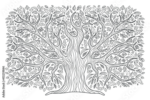A big tree, a family tree. Oak in a decorative style. The contour. For the design of magazines, booklets, books, etc. Isolated on a white background.