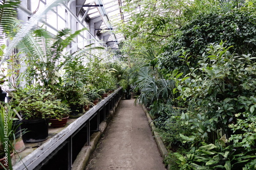 greenhouse with plants in winter time © ibWR111