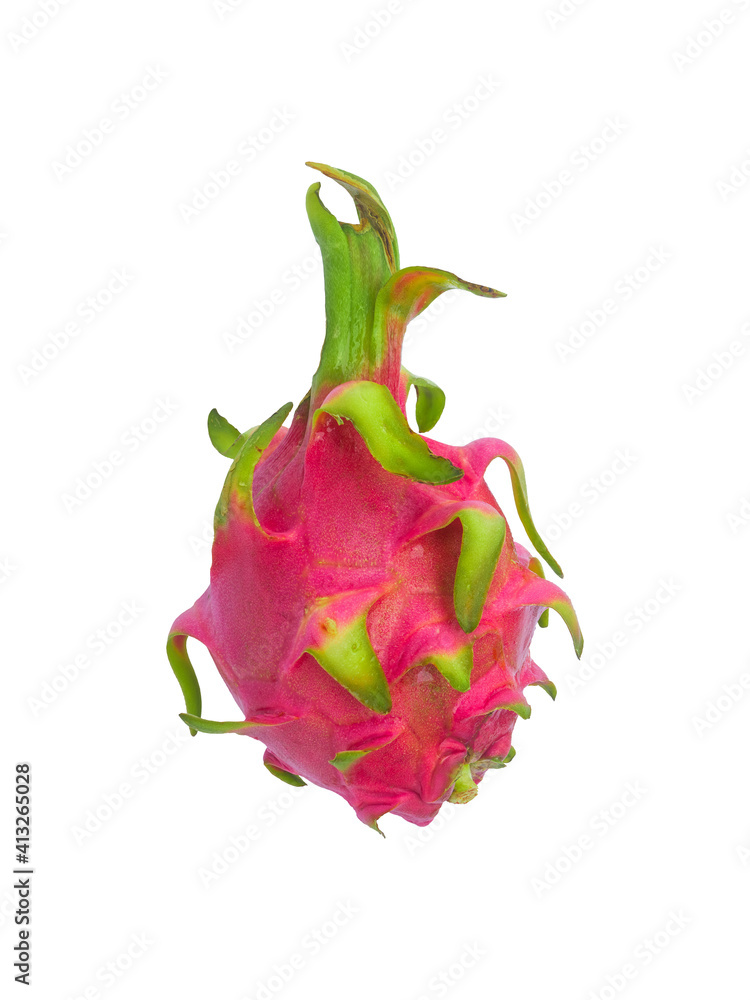 isolated dragon fruit with clipping path on white background by closeup texture of pitahaya or hylocereus cactus fruits for nutrition healthy food and juice ingredient