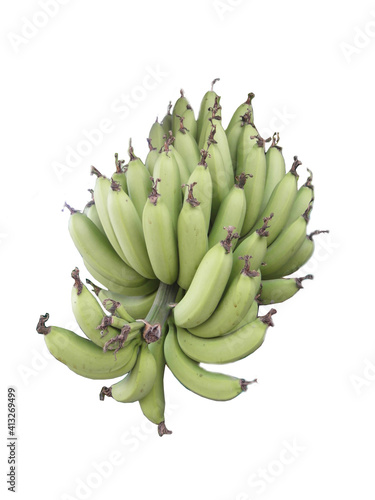 Separate banana chains on a white background.