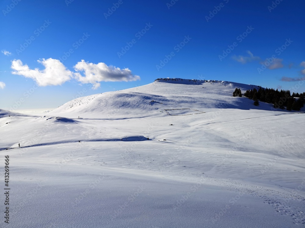 Winter - white landscape in the mountains 