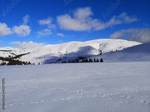 Winter - white landscape in the mountains  © dianacoman