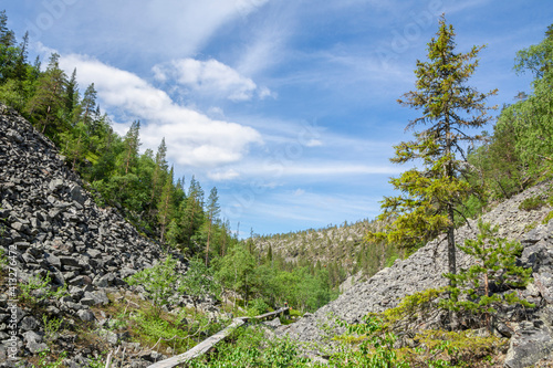 View of The Pyha-Luosto National Park in summer, wooden walkway and rocks, Lapland, Finland photo