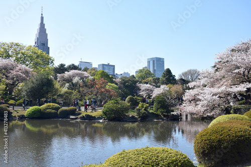 Tokyo, Japan: View of park in the heart of Japan, with cherry blossoms photo