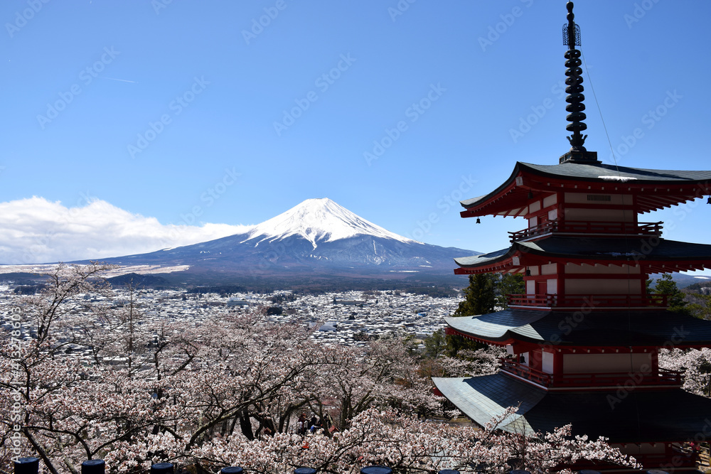 Chureito Pagoda, Yamanashi, Japan - View of Mt Fuji and Pagodo during Cherry Blossom Season