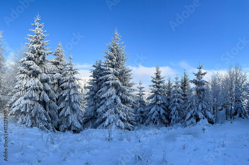 verschneite Bäume im Thüringer Wald © Henry Czauderna