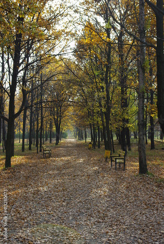 autumn in the park