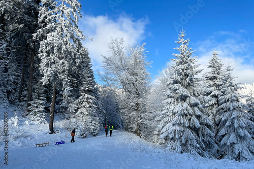 Spaziergang im winterlichen Thüringer Wald
