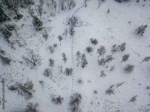 The road in the snowy forest. Aerial drone view. Cloudy winter day.