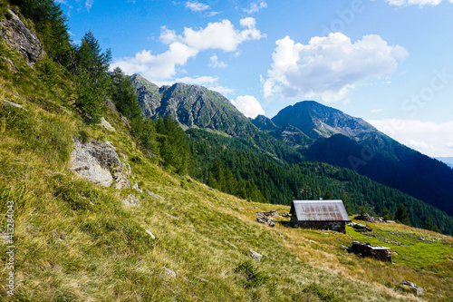 Alp near Fusio in front of Pizzo Campo Tencia mountain range