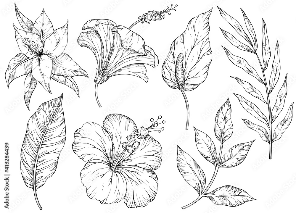 Set of tropical leaves. Tropical flowers and plants. Black and white