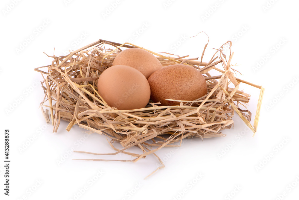 chicken egg isolated on white background chicken egg isolated on white background