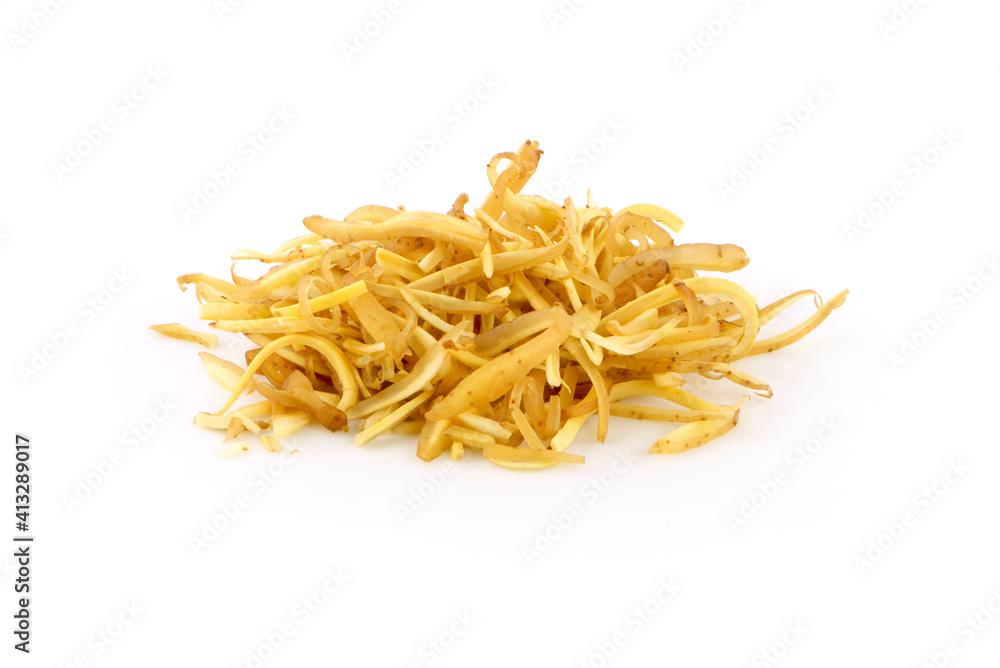 finger root isolated on a white background finger root isolated on a white background