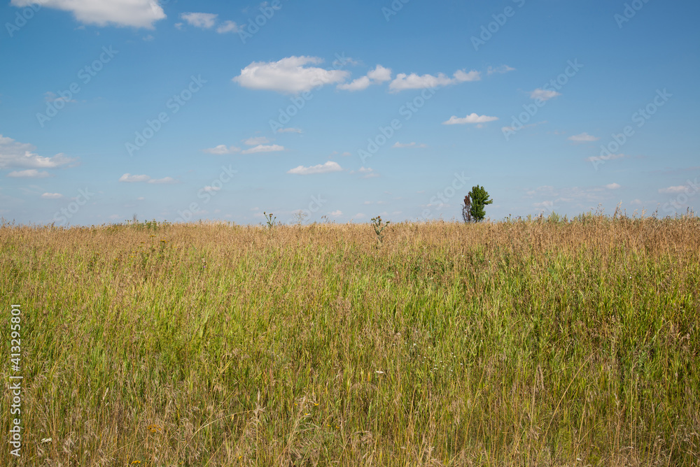 Steppe landscape in late summer. Front focus Steppe landscape in late summer. Front focus