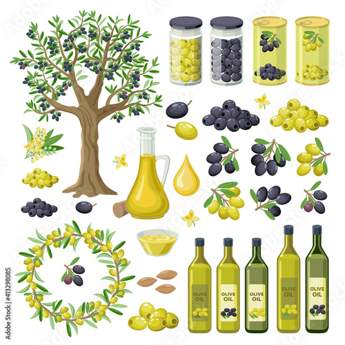 Large collection of olives food, products, olive oil bottles, olive tree, groups of black and green olives, canned, pickled, branches and leaves. Olives infographic elements isolated on white.
