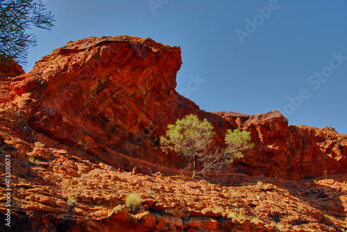 Red rock overhang and tree on a eroded hillside in the Northern Territory of the Australian outback.